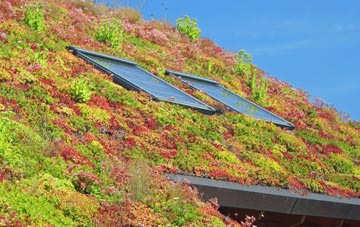 Paynters Lane End living roof systems